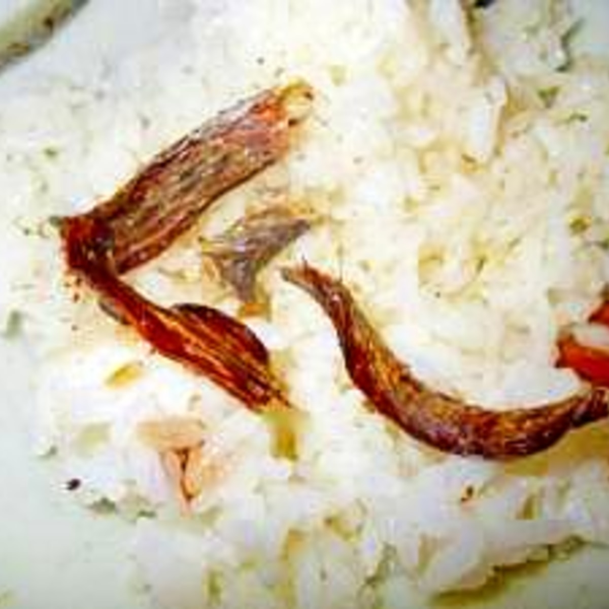 一人暮らしの干しワラスボ飯 レシピ 作り方 By ピヨ採る 大抵 楽天レシピ 一人暮らしの干しワラスボ飯 レシピ 作り方 By ピヨ採る 大抵 楽天レシピ